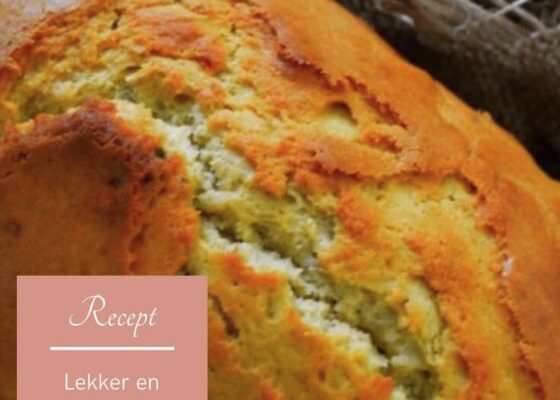 Avocadobrood
