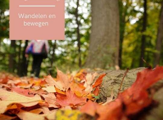 Herfstwandeling